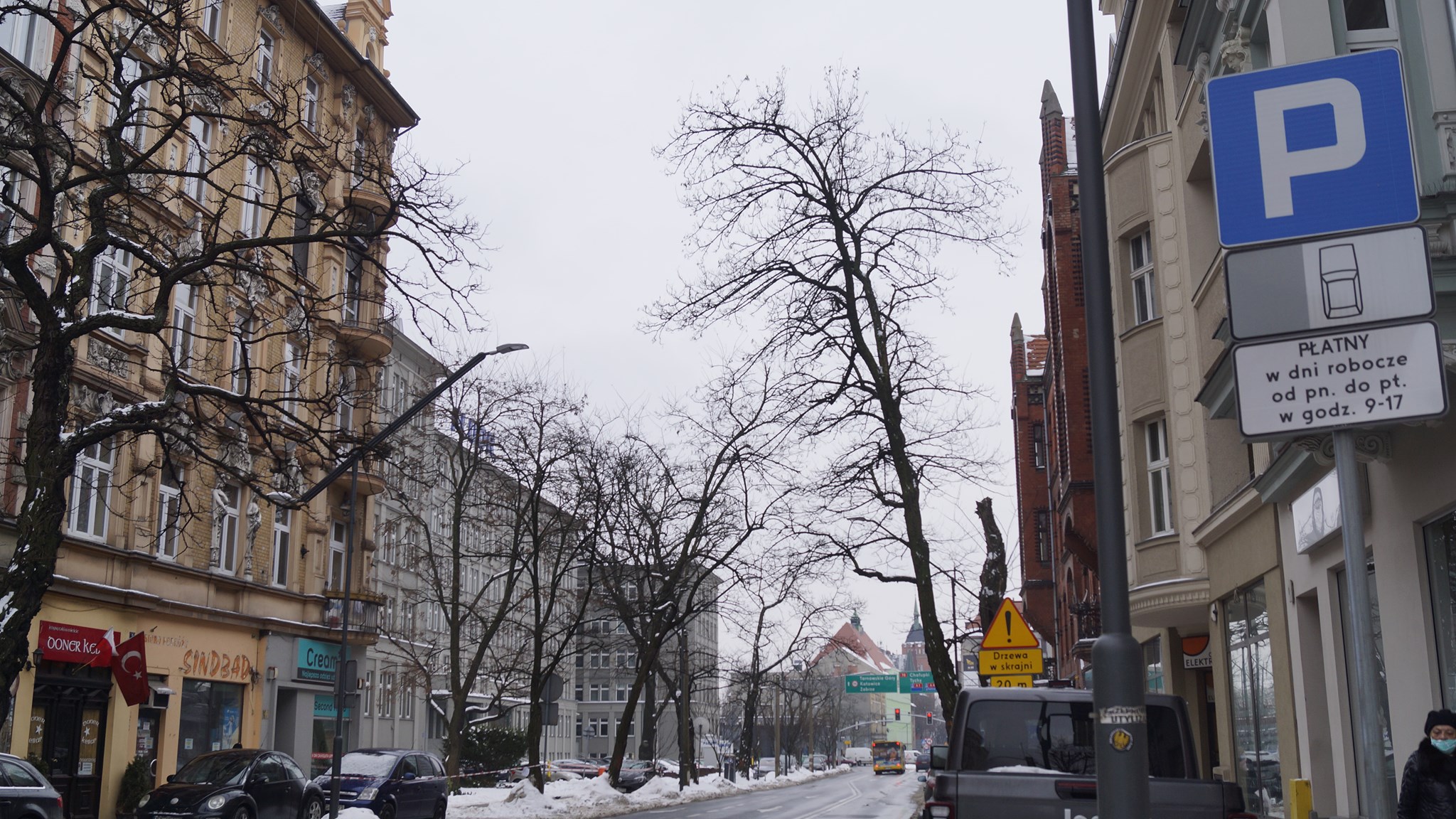 Wycinka drzew w ścisłym centrum Gliwic. Zniknie 8 robinii akacjowych
