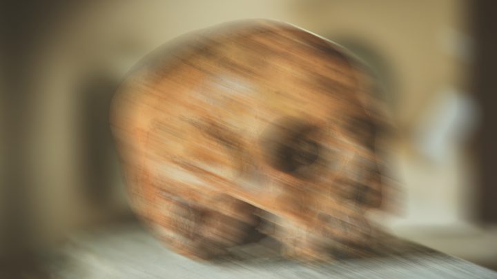 Znaleziono ludzkie szczątki